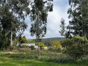 Terreno Mar Del Plata