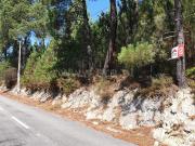 Terreno / Marco de Canaveses, Penhalonga e Paços de Gaiolo