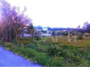 Terreno, Marinha Grande, Marinha Grande | BPI Expresso...