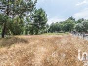 Terreno, Marinha Grande, Marinha Grande | BPI Expresso...