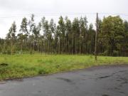 Terreno, Marinha Grande, Marinha Grande | BPI Expresso...