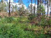 Terreno, Marrazes e Barosa, Leiria | BPI Expresso...