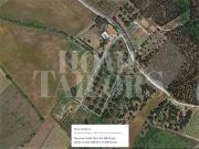 Terreno, Maxial e Monte Redondo, Torres Vedras | BPI...