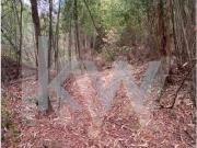 Terreno, Melres e Medas, Gondomar | BPI Expresso Imobiliário