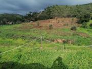Terreno, Mexilhoeira Grande, Portimão | BPI Expresso...