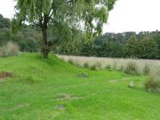 Terreno mide 30,000m2 Terreno mide 30,000m2