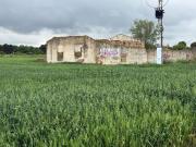 Terreno, Miguelturra