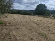 Terreno, Milagres, Leiria | BPI Expresso Imobiliário