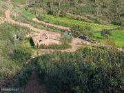 Terreno Misto