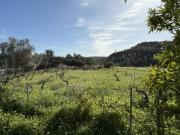 Casa térrea V3 Querença Casa térrea V3 Querença