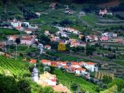 Terreno misto com vinha e possibilidade de construção de...
