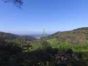 Terreno Misto em Alferce