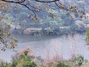 Terreno misto em São Cristóvão de Nogueira