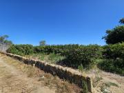 Terreno Misto, Faro, Conceição e Estoi