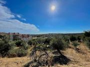 Terreno Misto | Portalegre