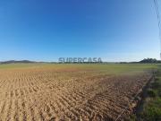Terreno Misto Porto Covo
