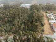 Terreno Misto Residencial e Florestal Medas, Gondomar