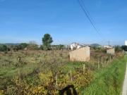 Terreno Misto, São Miguel Do Rio Torto e Rossio Ao Sul...