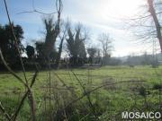 Terreno Misto T3 Venda em Serzedo e Perosinho,Vila Nova...