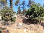 Terreno, Molins de Rei