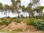 Terreno, Molins de Rei