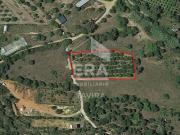 Terreno, Moncarapacho e Fuseta, Olhão | BPI Expresso...