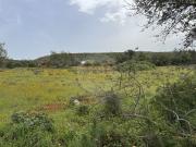 Terreno, Moncarapacho e Fuseta, Olhão | BPI Expresso...