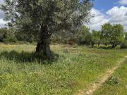 Terreno, Moncarapacho e Fuseta, Olhão | BPI Expresso...