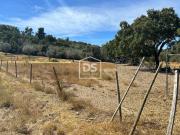 Terreno, Monforte Da Beira, Castelo Branco | BPI...