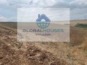 Terreno monolocale 32000mq