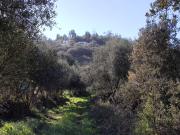 Terreno, Monsaraz, Reguengos de Monsaraz | BPI Expresso...