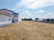 Terreno, Monte Real e Carvide, Leiria | BPI Expresso...