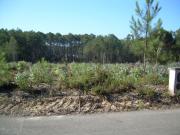 Terreno, Monte Real e Carvide, Leiria | BPI Expresso...