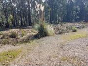 Terreno, Monte Real e Carvide, Leiria | BPI Expresso...