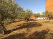 Terreno, Montehermoso