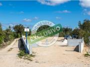 Terreno, Montemor O Velho e Gatões, Montemor o Velho |...