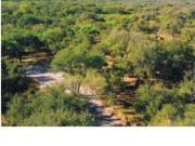 Terreno Montemorelos