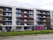 Terreno, Montijo e Afonsoeiro