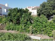 Terreno, Montijo e Afonsoeiro, Montijo | BPI Expresso...