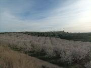 Terreno, Montoliu de Lleida