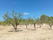 Terreno, Mora d&apos Ebre