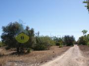 Terreno muito bem localizado em Algoz no centro do Algarve