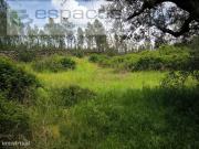 Terreno murado e com poo