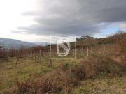 Terreno Não definido em Salvador do Monte