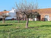 Terreno, Alpiarça, Alpiarça | BPI Expresso Imobiliário