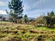 Terreno, Fundão, Valverde, Donas, Aldeia de Joanes e...