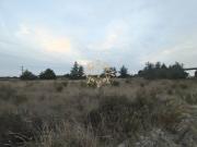 Terreno Não se apl, Poceirão e Marateca, Palmela | BPI...