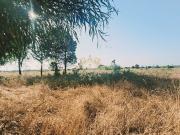 Terreno Não se apl, Poceirão e Marateca, Palmela | BPI...