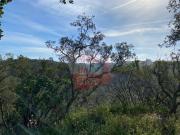 Terreno, São Francisco Da Serra, Santiago do Cacém | BPI...