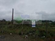 TERRENO NA BRANCA